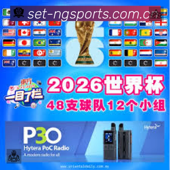 结构优化认证展示